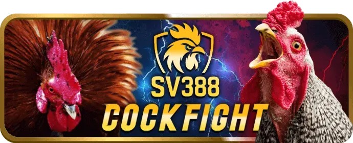 Hoàn trả cược thể thao Jun88 nhà cái